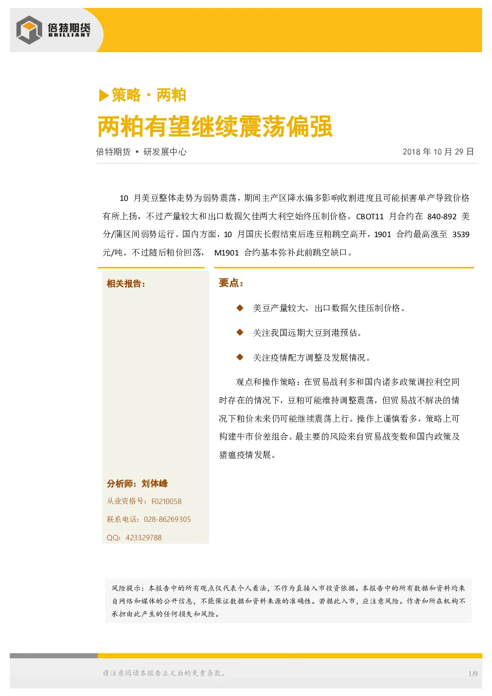报告封面