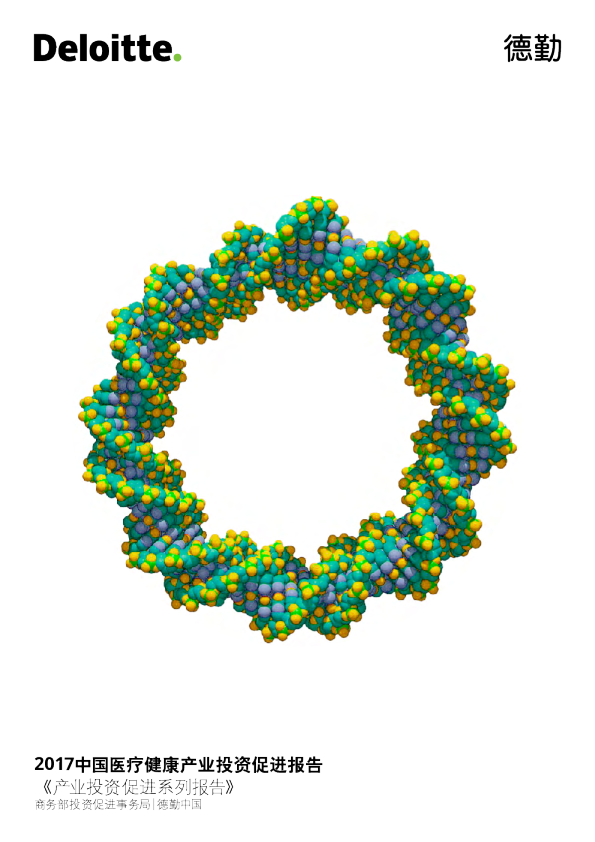 2017中国医疗健康产业投资促进报告