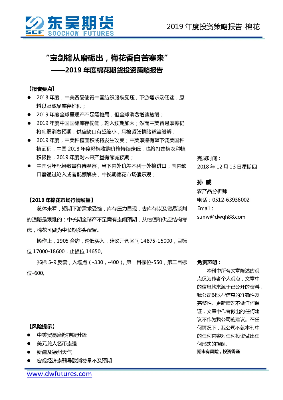 报告封面