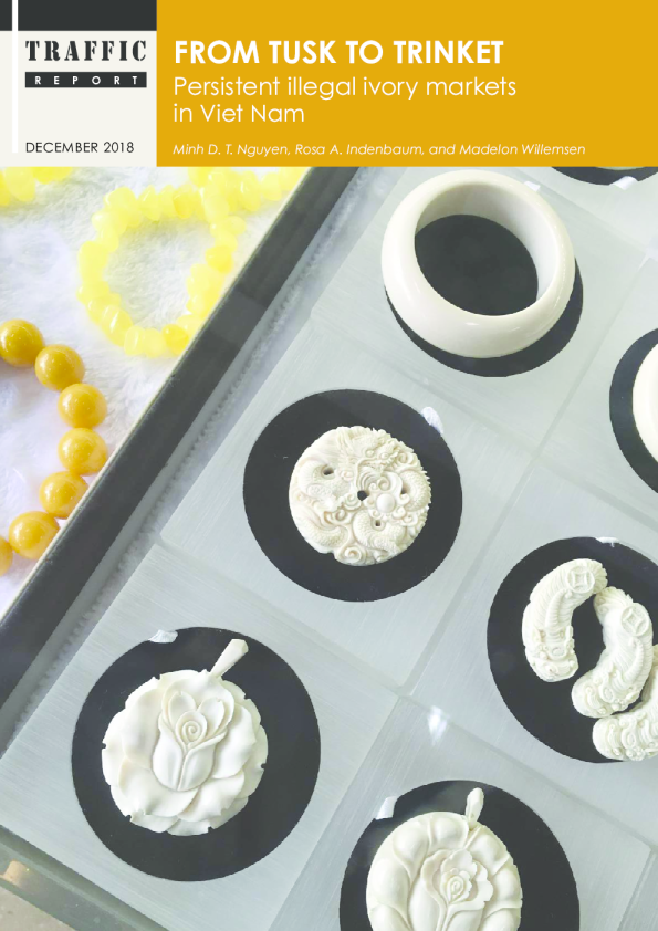 From tusk to trinket: Persistent illegal ivory markets in Viet Nam