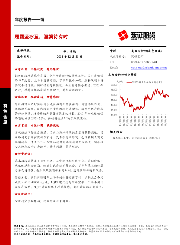 铜年度报告：履霜坚冰至，涅槃待有时