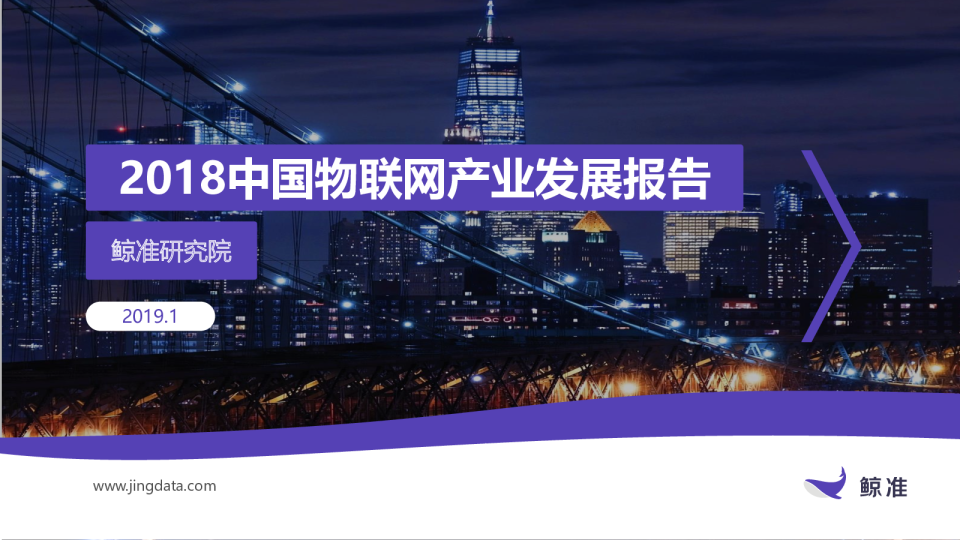 2018中国物联网产业发展报告