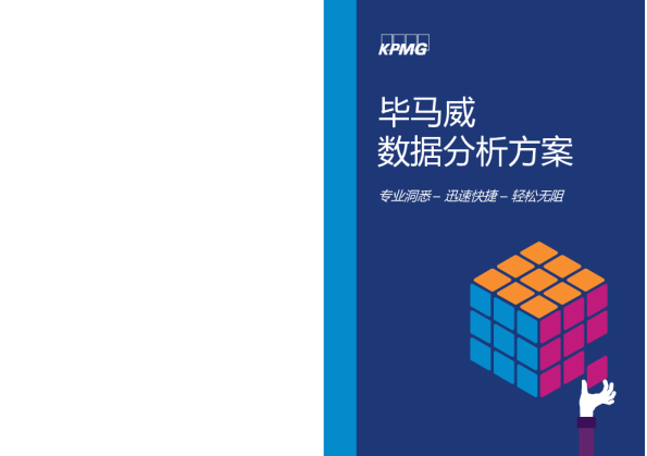 毕马威数据分析方案