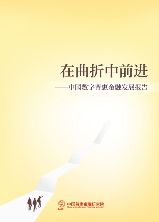 在曲折中前进——中国数字普惠金融发展报告