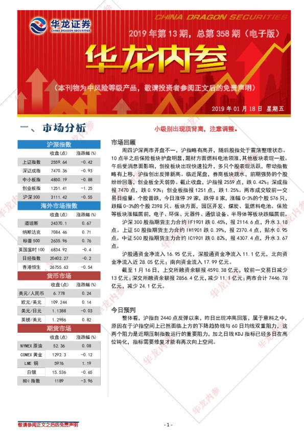 华龙内参2019年第13期总第358期（电子版）