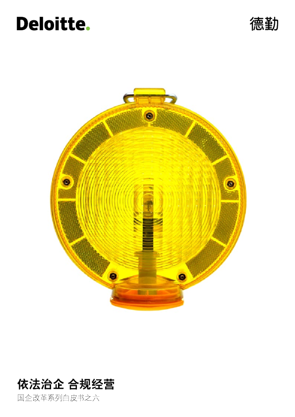国企改革系列白皮书之六