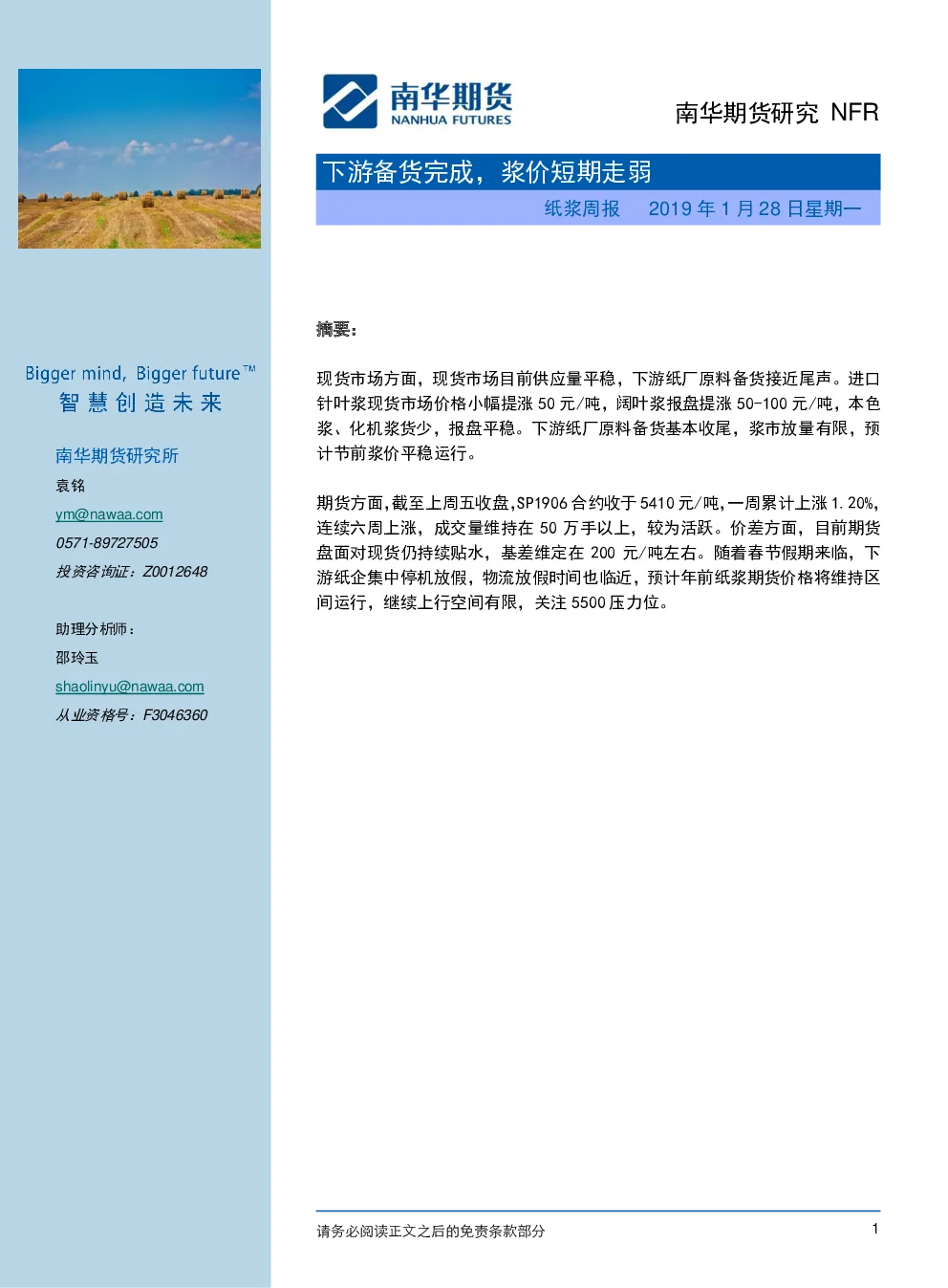 报告封面