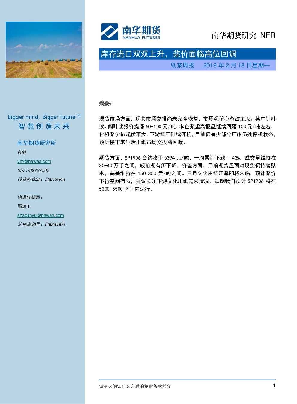 报告封面