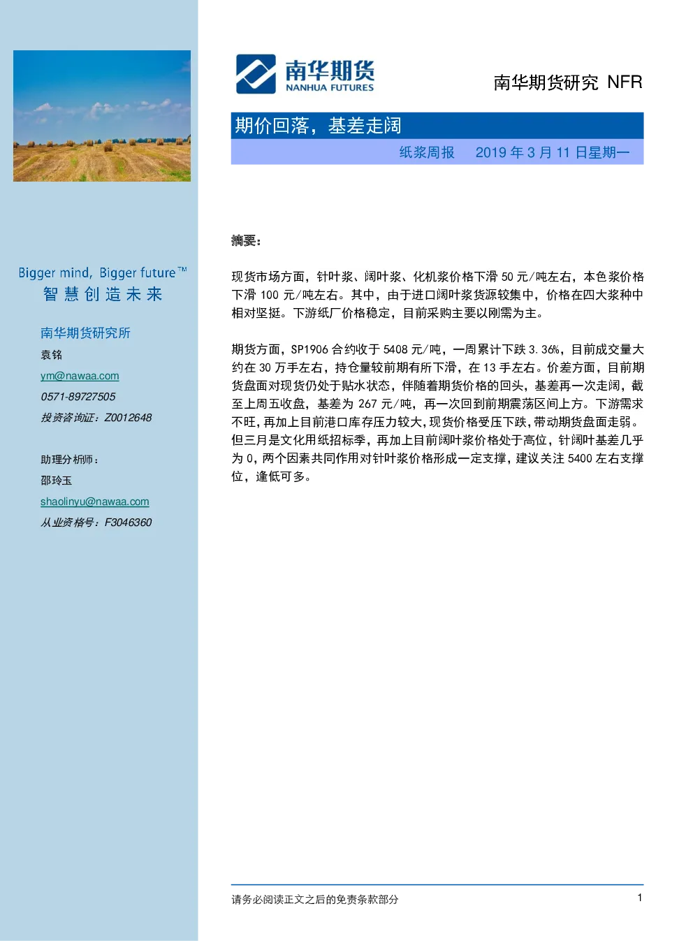 报告封面