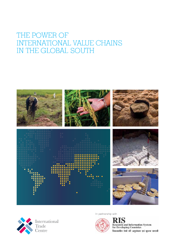 国际价值链在南方国家的力量