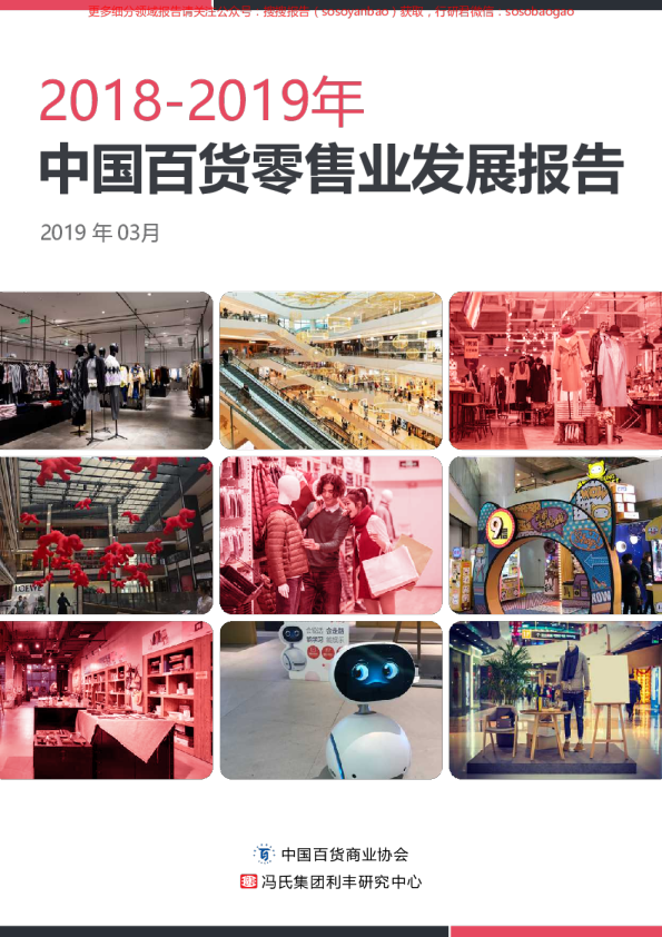 2018-2019年中国百货零售业发展报告
