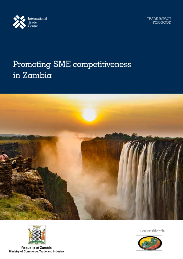 提升赞比亚中小企业竞争力