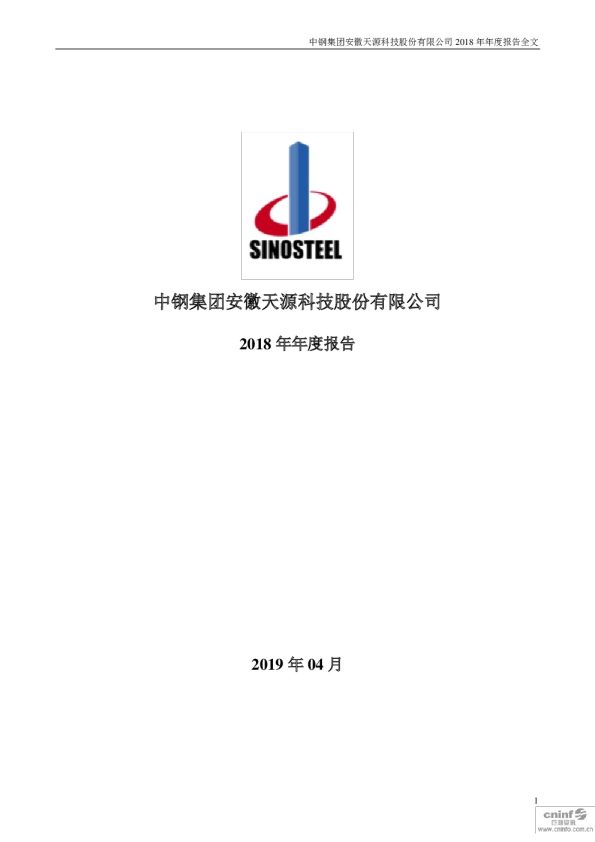 中钢天源：2018年年度报告