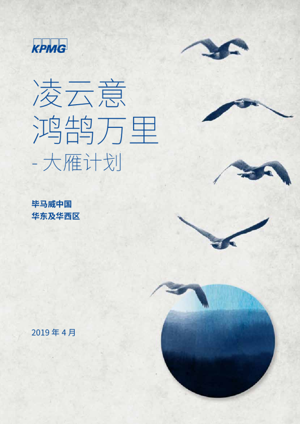 凌云意 鸿鹄万里——大雁计划