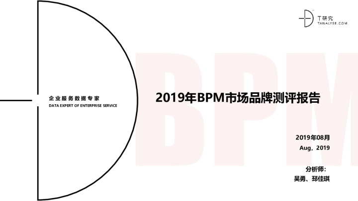 2019年BPM市场品牌测评报告