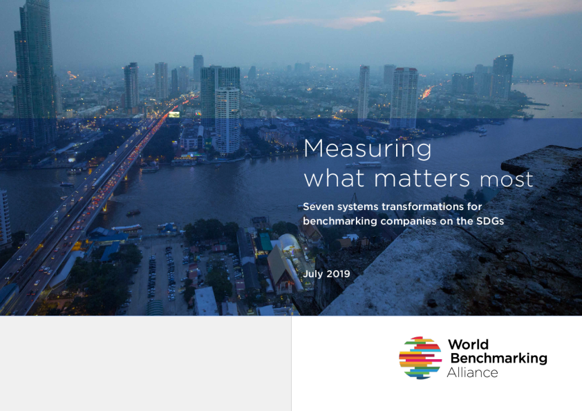 可持续发展目标基准公司的七个系统转型