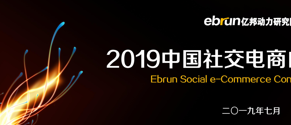 2019社交电商白皮书