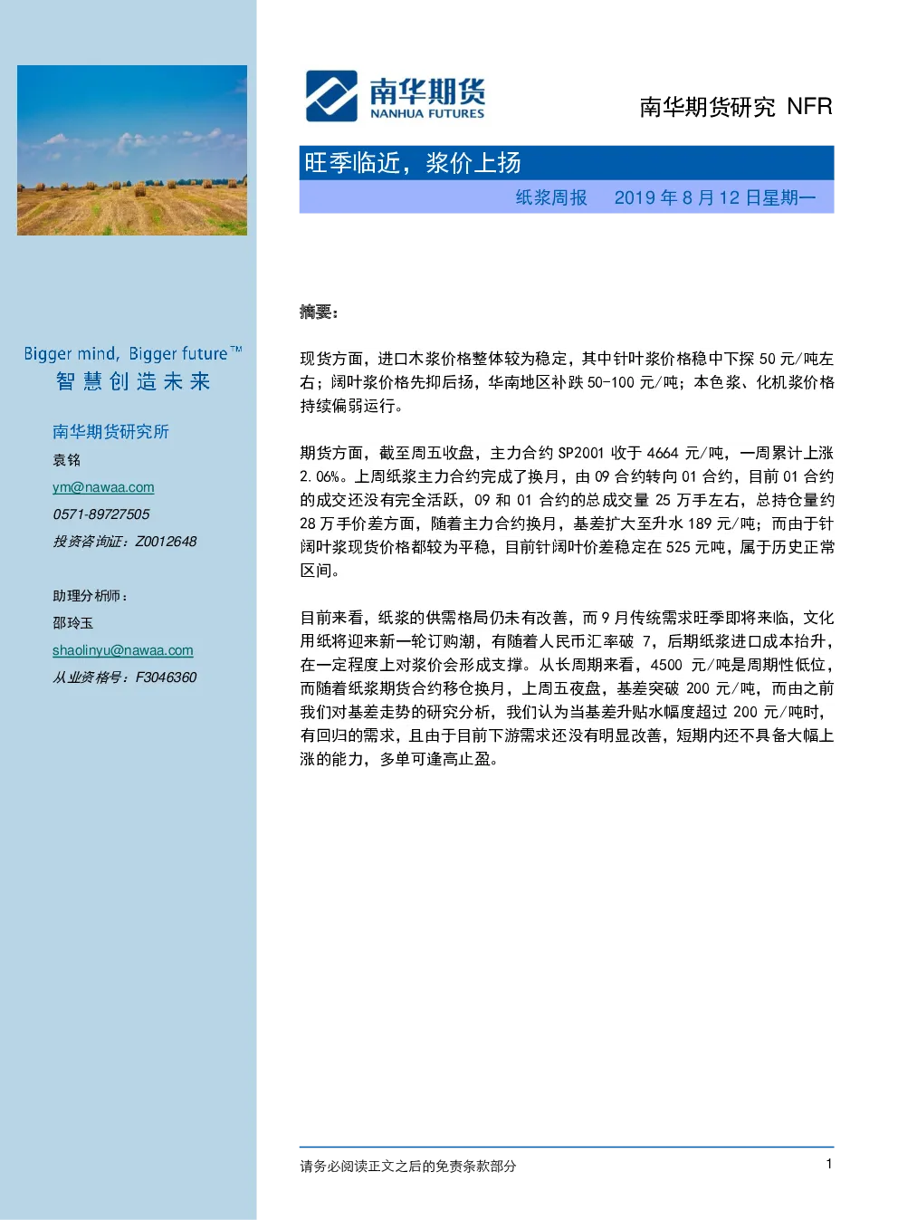 报告封面