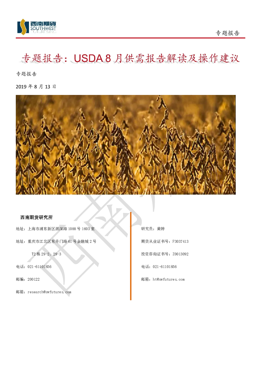 报告封面
