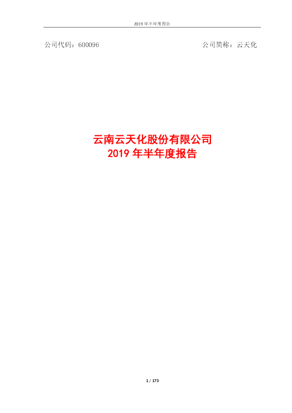 云天化：2019年半年度报告