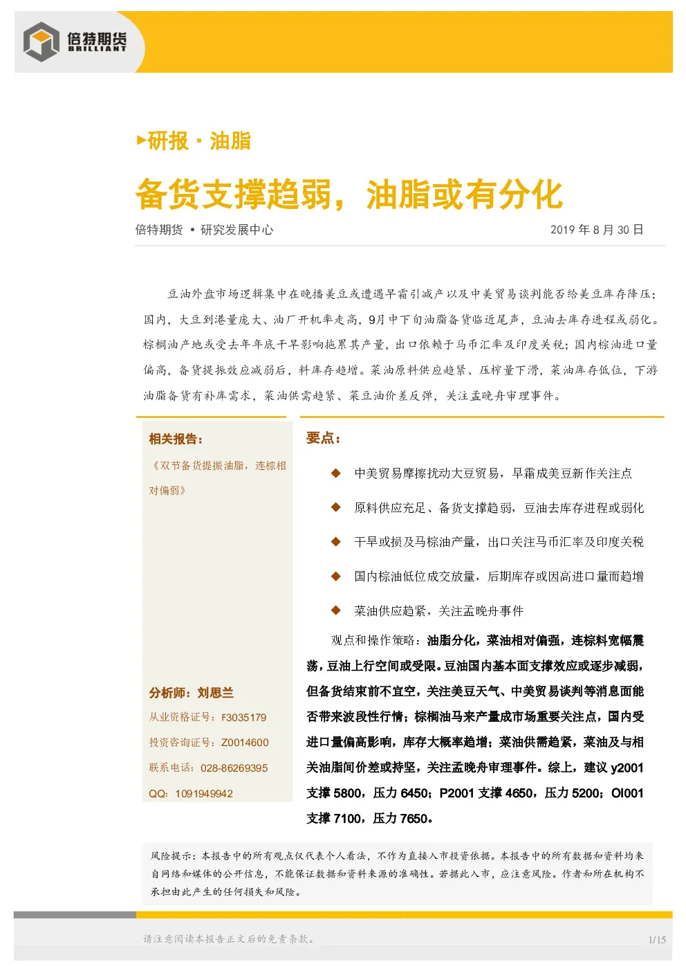 报告封面