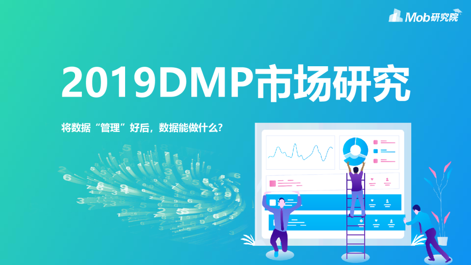 2019DMP市场研究