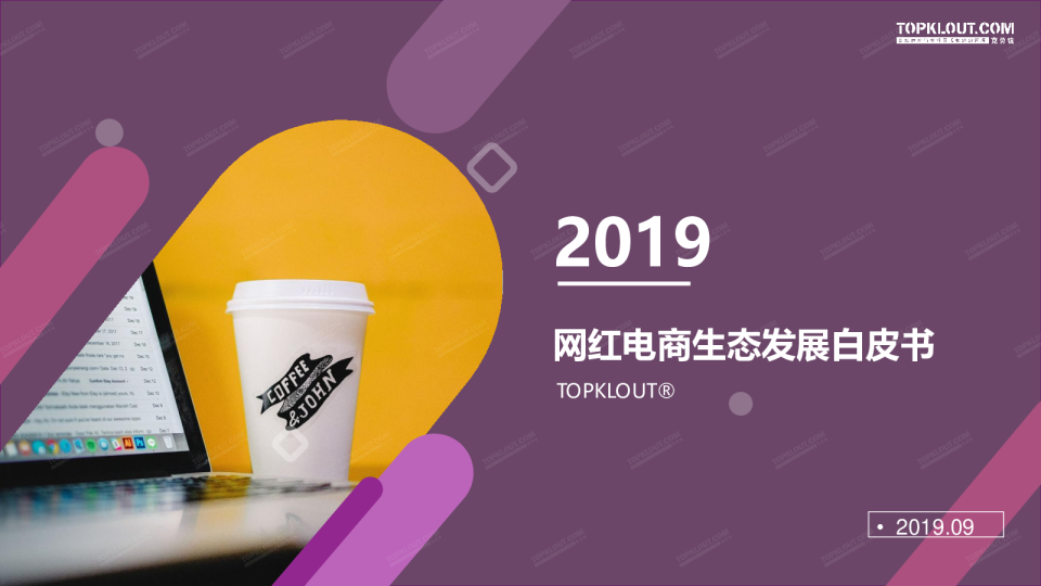 2019网红电商生态发展白皮书