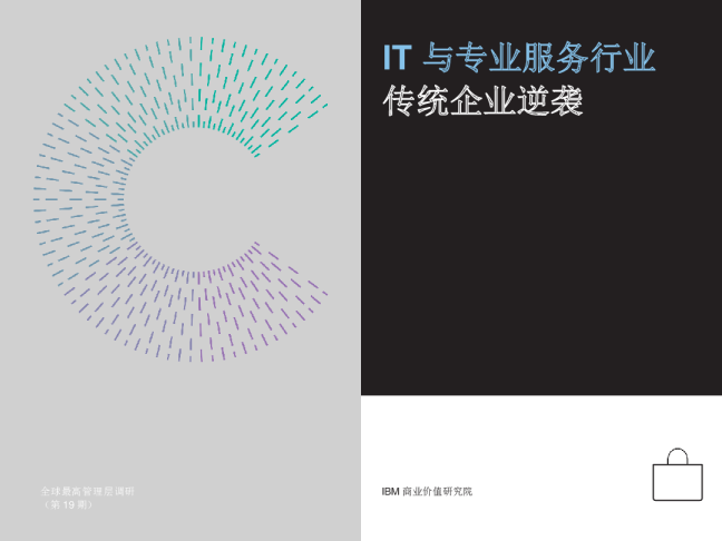 IT与专业服务行业-传统企业逆袭