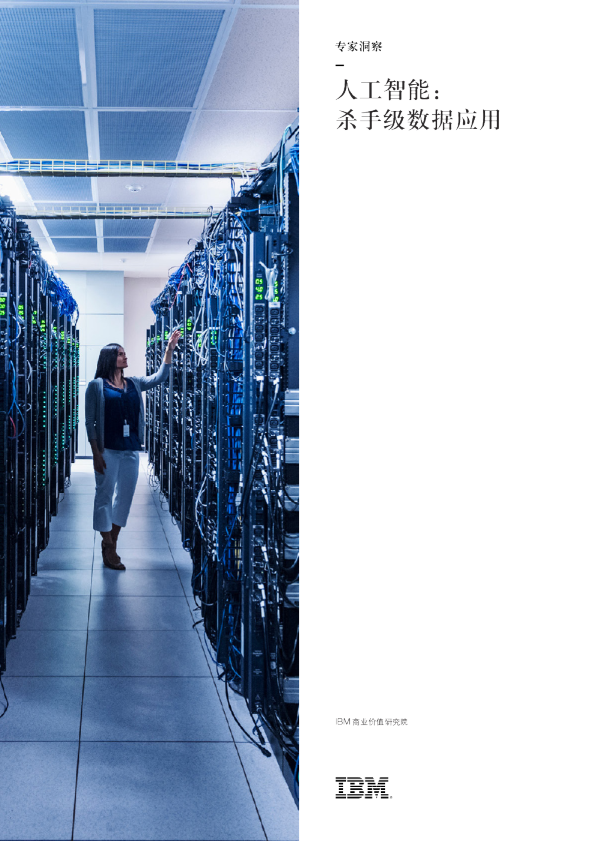 人工智能：杀手级数据应用