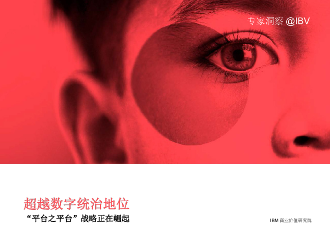 超越数字统治地位：“平台之平台”战略正在崛起