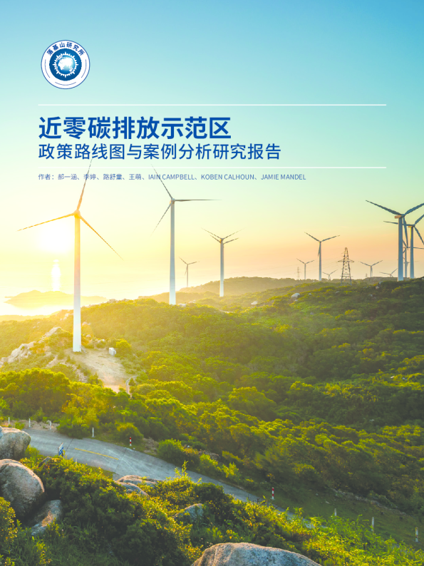 近零碳排放示范区 政策路线图与案例分析研究报告