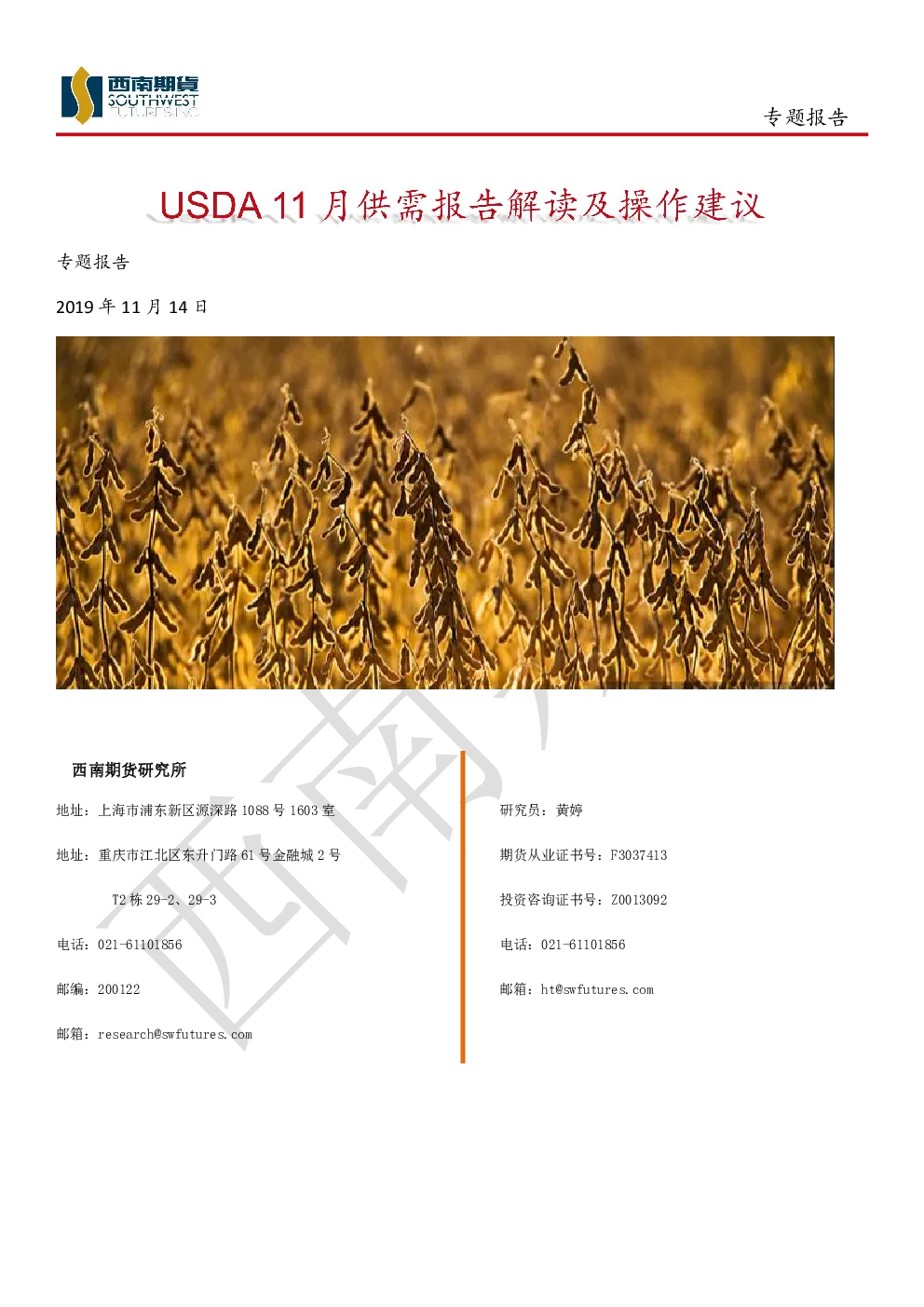 报告封面