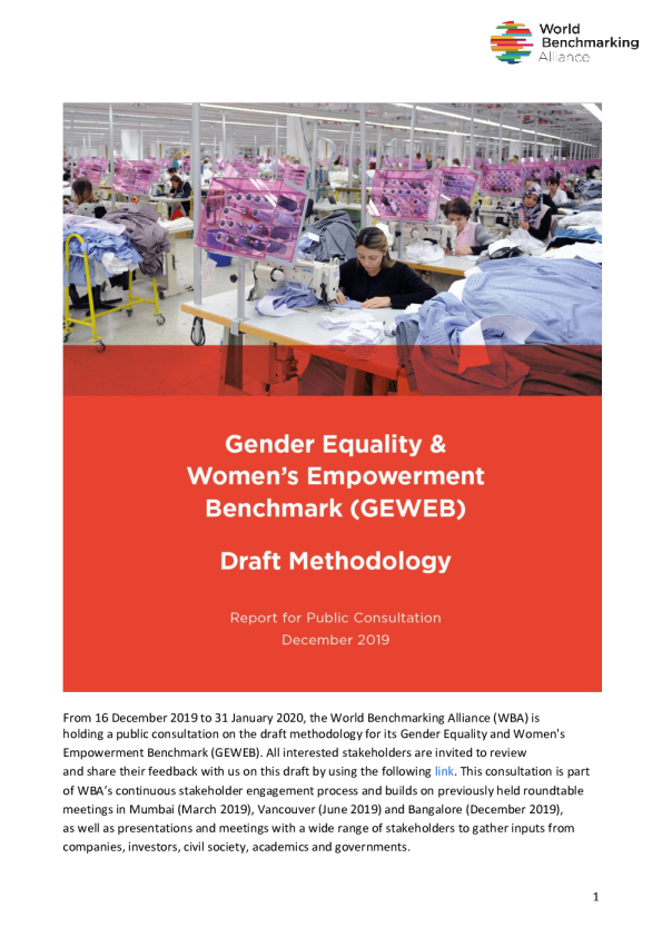 2020年性别基准基线评估和2021年性别基准的方法草案