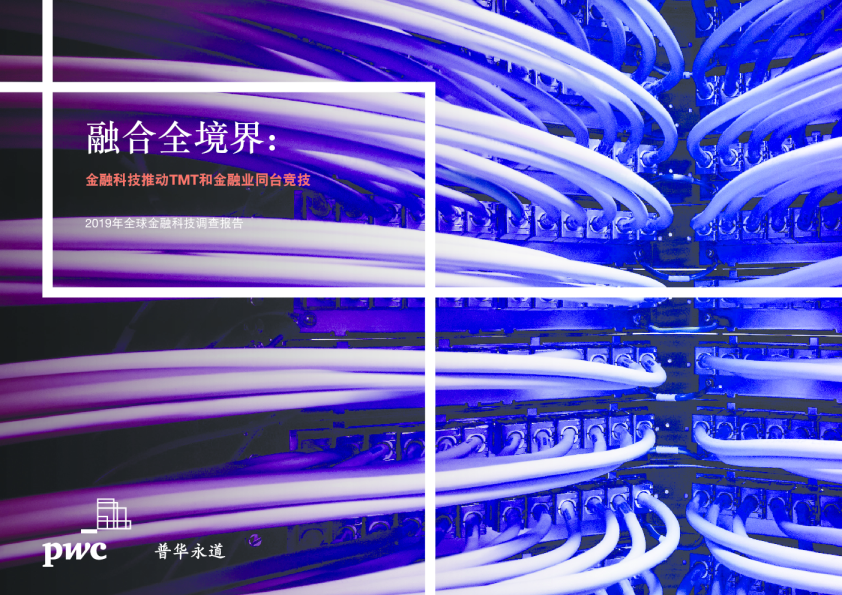 2019年全球金融科技调查报告：融合全境界：金融科技推动TMT和金融业同台竞技