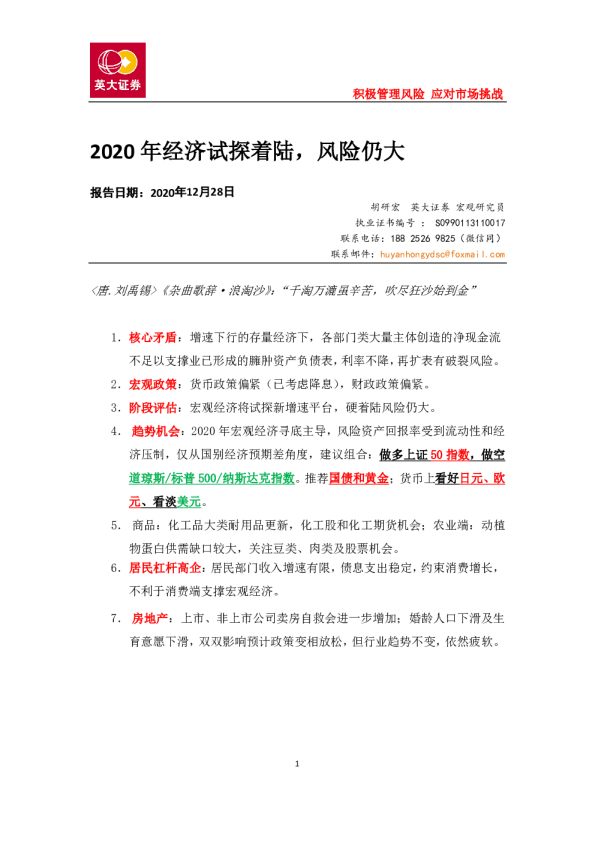 2020年经济试探着陆，风险仍大