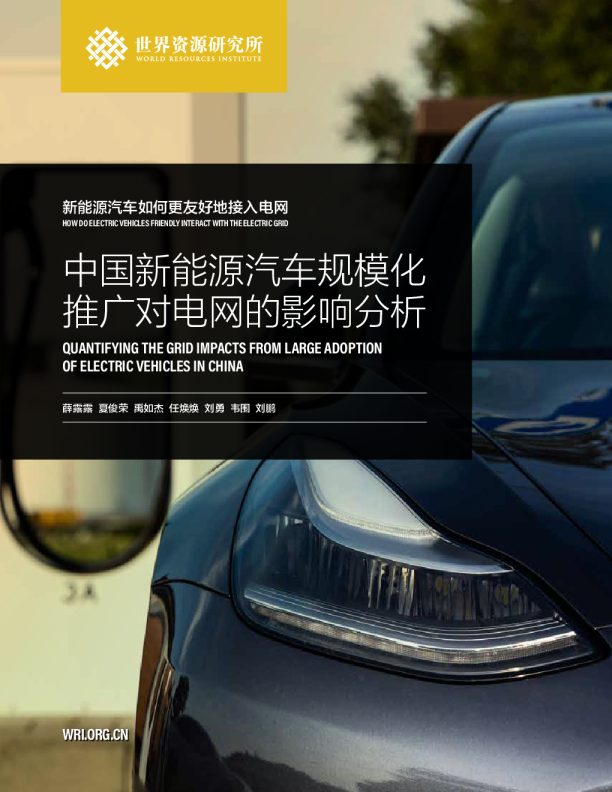 Quantifying the Grid Impacts from Large Adoption of Electric Vehicles in China