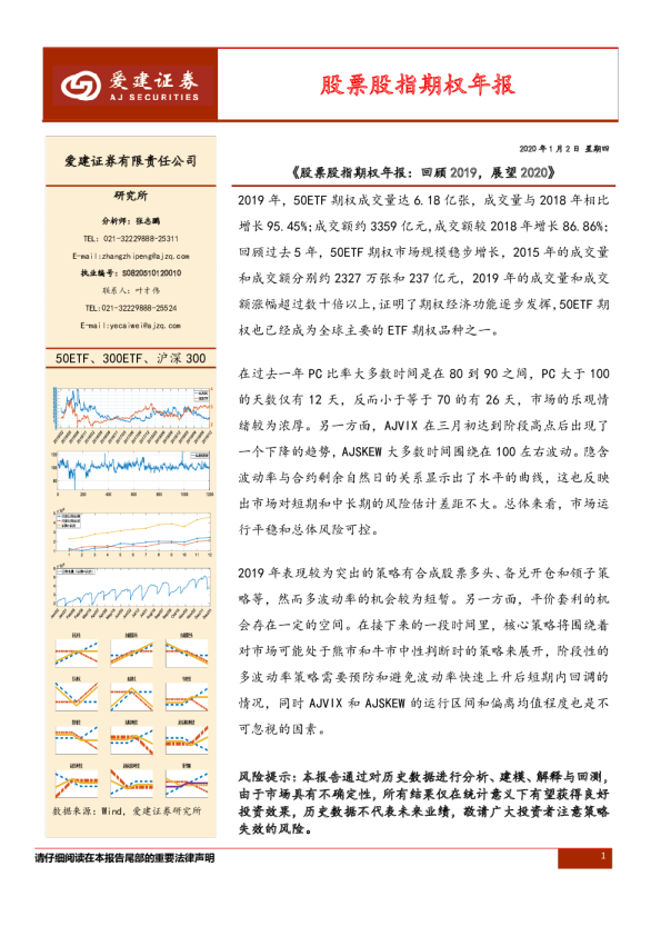 股票股指期权年报