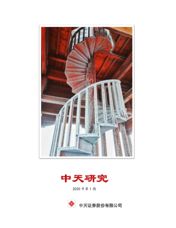 中天研究2020年第1期