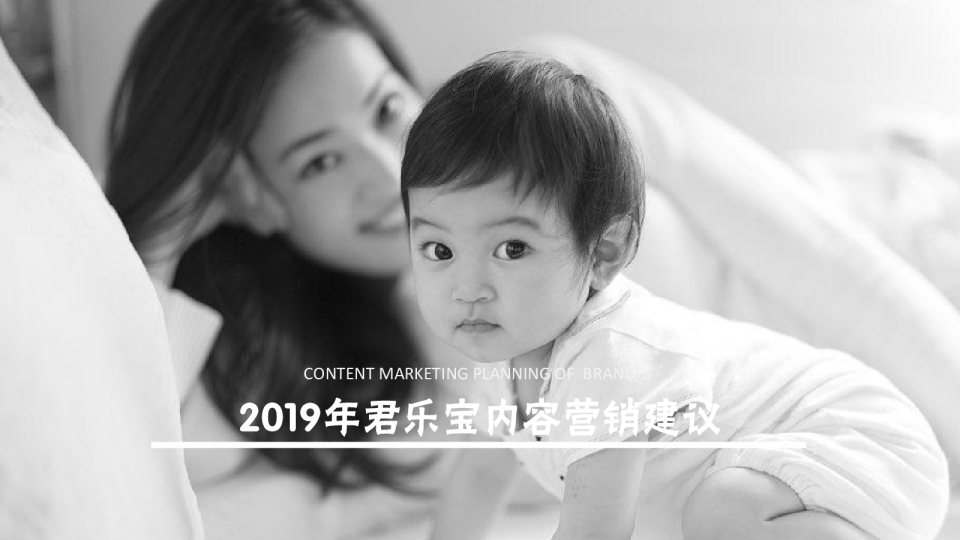 2019年君乐宝内容营销建议