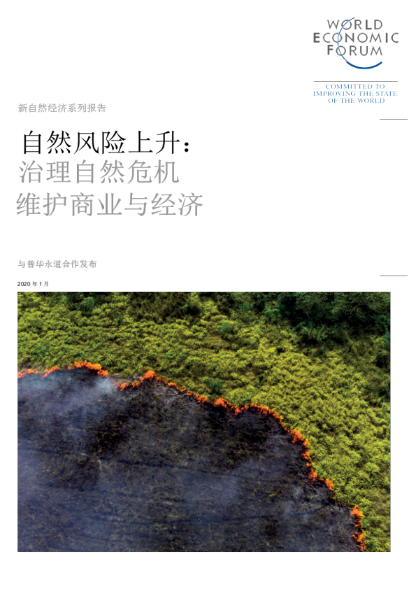 Nature Risk Rising: Why the Crisis Engulfing Nature Matters for Business and the Economy