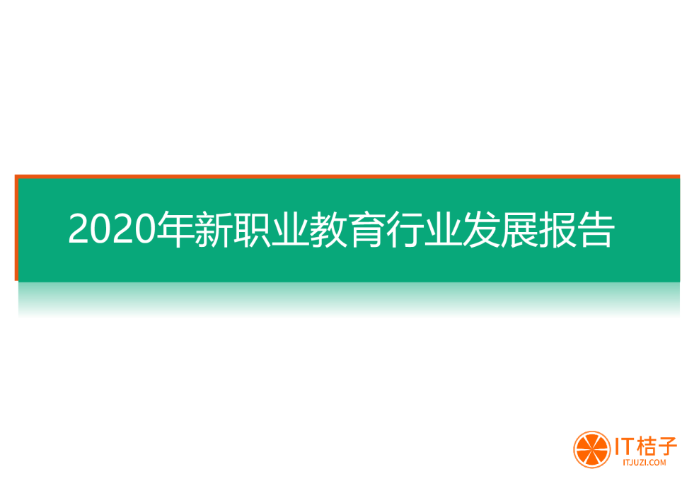 2020新职业教育报告