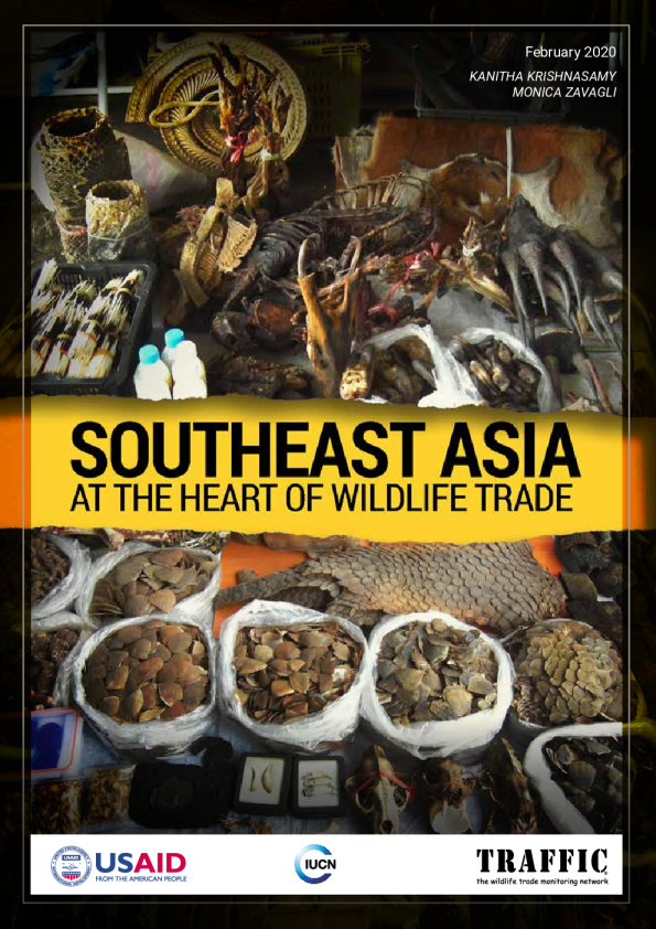 Southeast Asia: At the heart of wildlife trade
