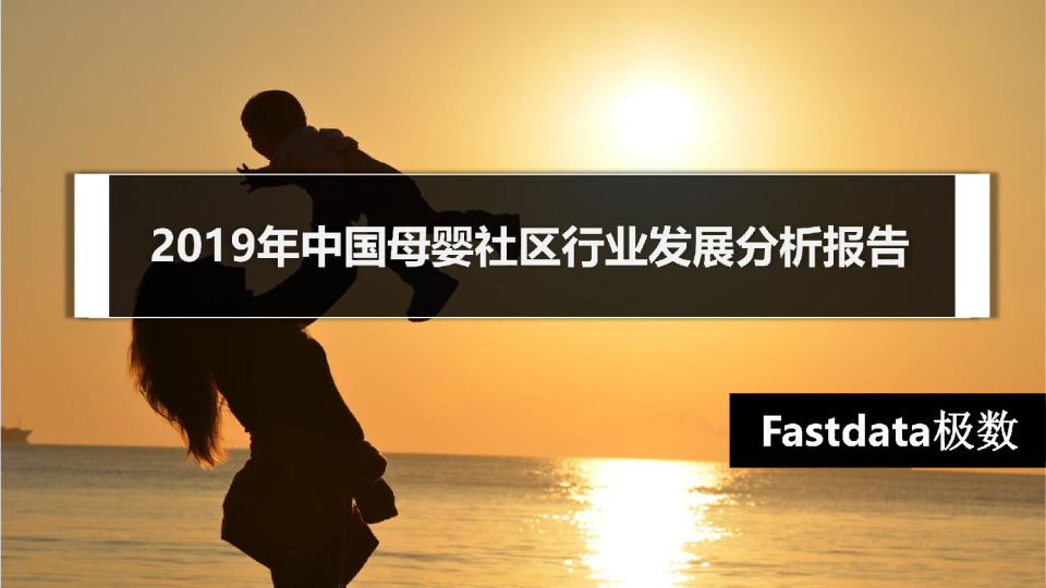 2019年中国母婴社区行业发展分析报告