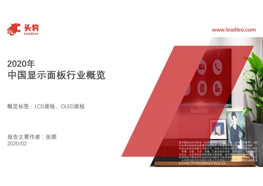 2020年中国显示面板行业概览