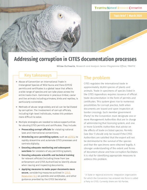 New study lifts the lid on addressing corruption in CITES documentation processes
