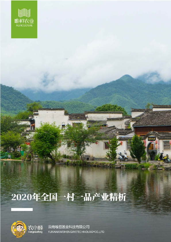 2020年全国一村一品产业精析