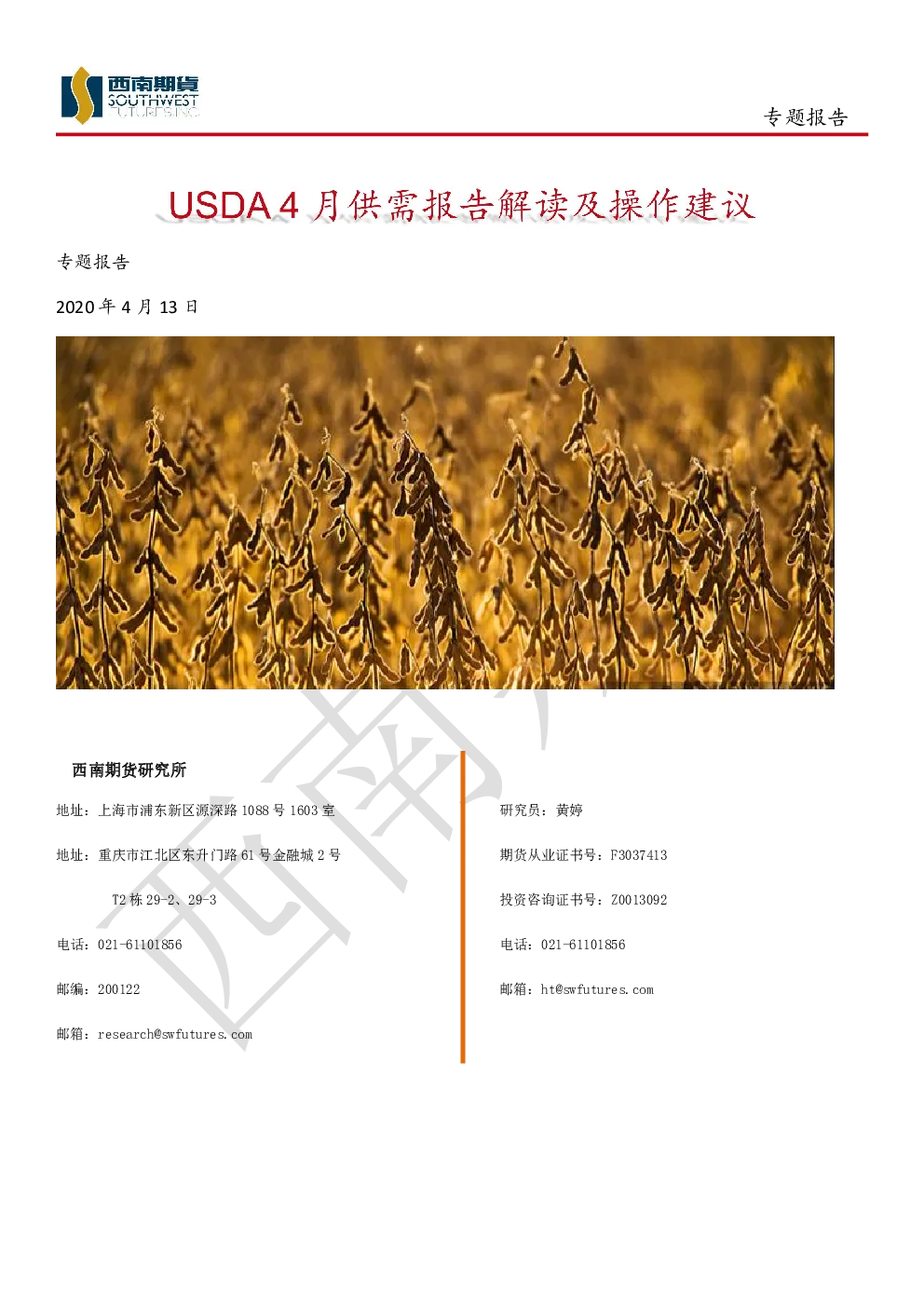 报告封面