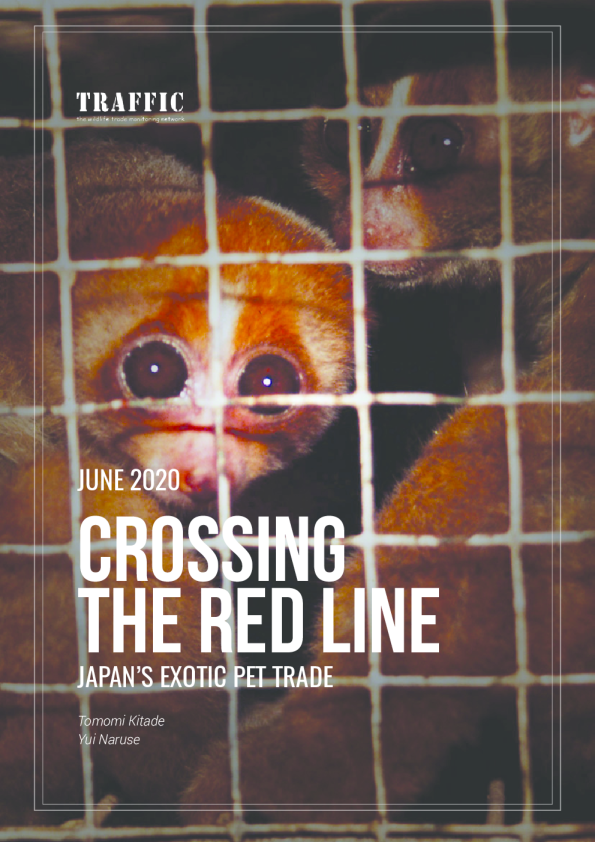 Crossing the Red Line