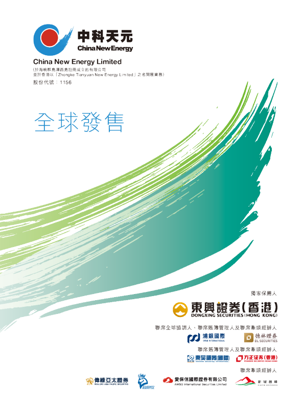 CHINANEWENERGY招股说明书