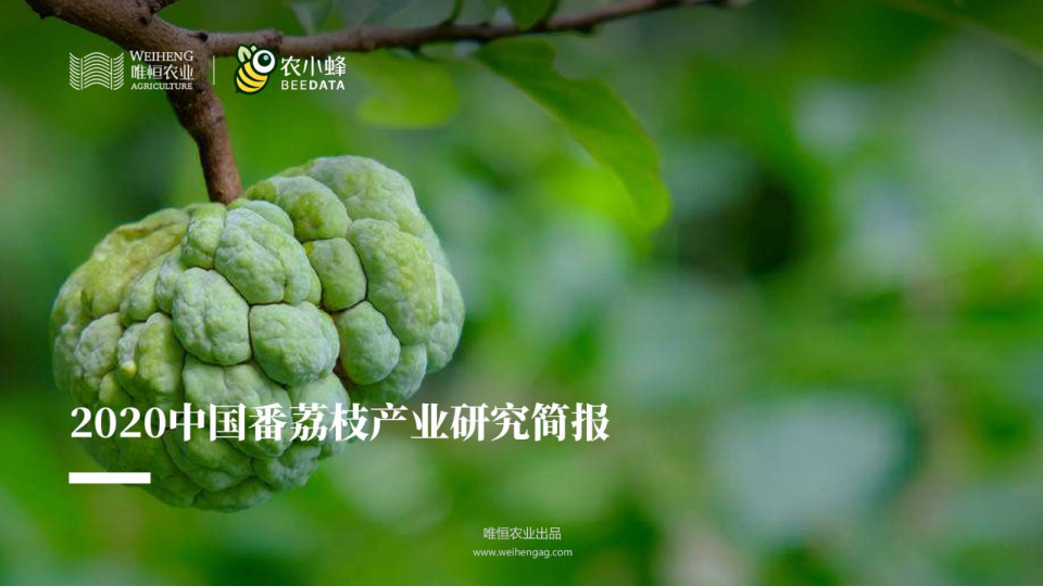 2020中国番荔枝产业研究简报